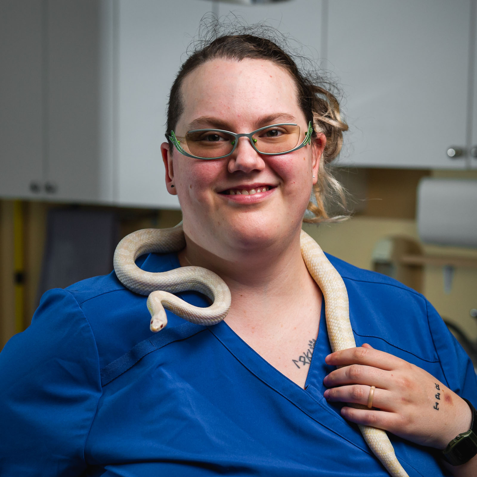 Dr Amy Hutchinson Vet - ru35vtd